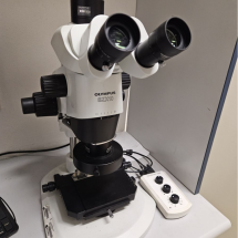 Stereomikroskop Olympus SZX10